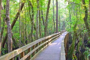 Coffee State Park
