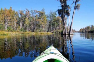 Stephen C. Foster State Park