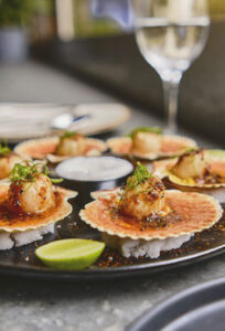 Great Seafood Appetizers