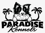 Paradise Kennels—Ashton Thompson
