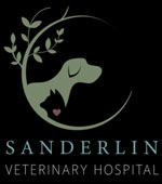 Sanderlin Veterinary Hospital—Lauren Sanderlin