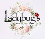 Ladybug’s Flowers & Gifts