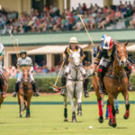 AFM Give Me Wings Polo Match