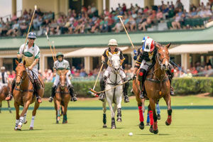 AFM Give Me Wings Polo Match