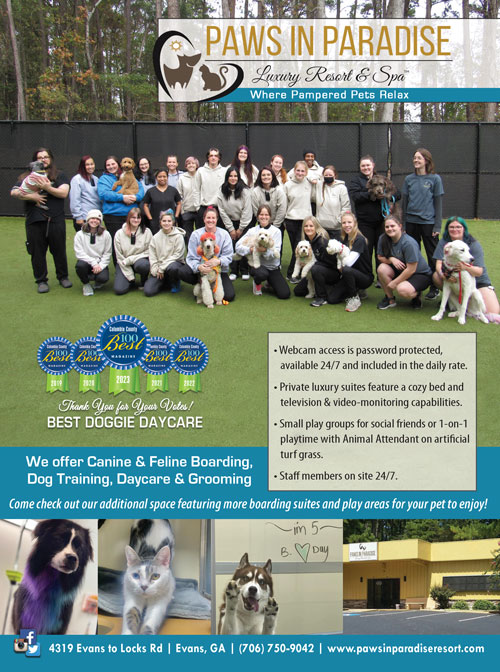 voted Best doggie daycare in augusta