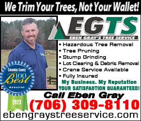 Best Tree Service Removal Augusta