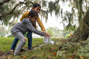 Jekyll Island tradition Island Treasures