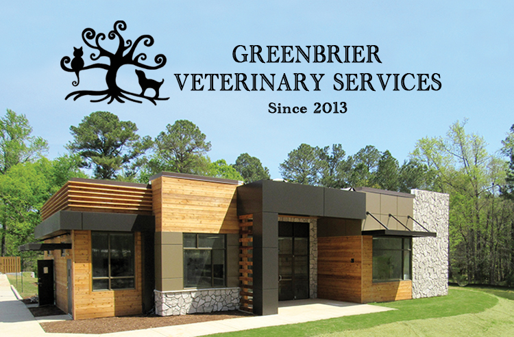 Evans Verterinary Services