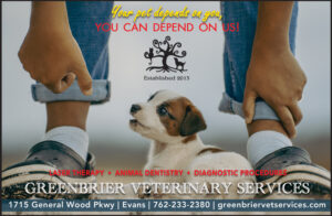 Evans Verterinary Services