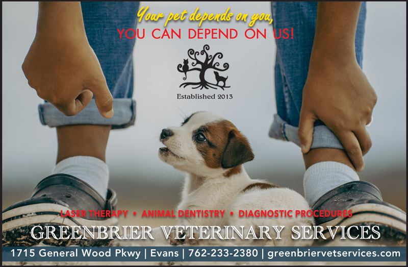 Evans Verterinary Services