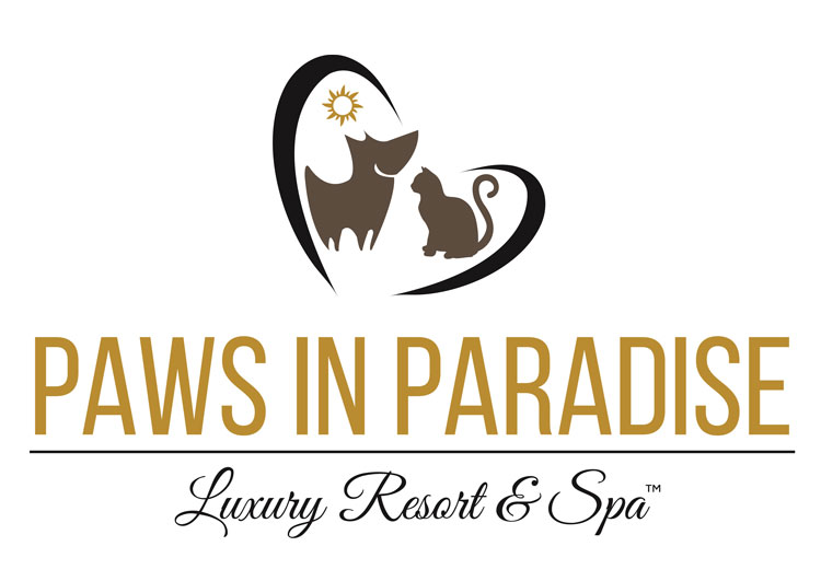 Voted BEST DOGGIE DAYCARE