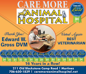 Best Veterinarian Augusta CAREMORE Dr. Edward Gross