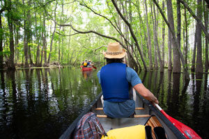 Carolina Heritage Outfitters in St. George, South Carolina offers outdoor adventurers the opportunity to paddle a two-person canoe along the cypress-lined, rapid-free, blackwater Edisto River to three private treehouses for overnight stays.