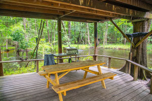 Blackwater Bliss Leave your cares behind on a leisurely downriver paddle to this secluded destination.