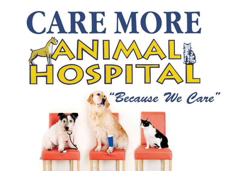 Best Veterinarian Dr. Edward Gross