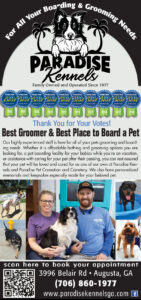 Paradise Kennels Ashton Thompson, Owner